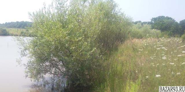 Продам участок 13 га ,  земли поселений (ИЖС)  ,  20 км до города